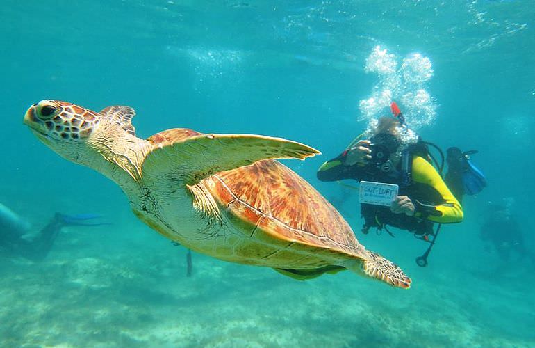 Auffrischungskurs: PADI Scuba Review Programm in El Gouna