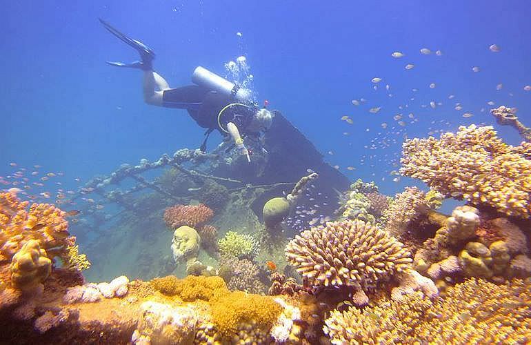 Tagesausflug Tauchen in El Gouna - Tauchen lernen