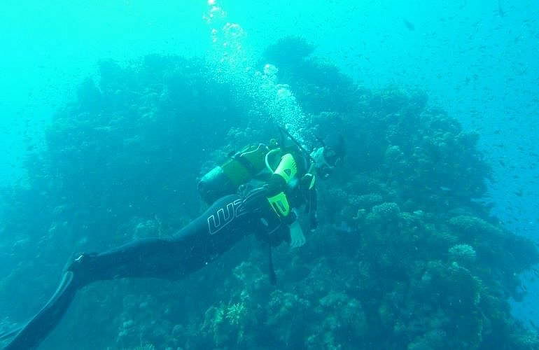 Fun Diving El Gouna - Ganztägige Tauchfahrt mit 2 Tauchgängen