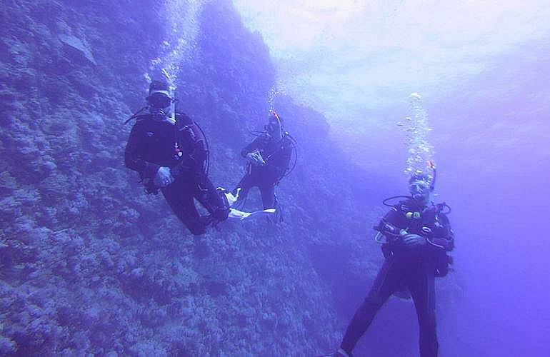 Tagesausflug Tauchen in El Gouna - Tauchen lernen