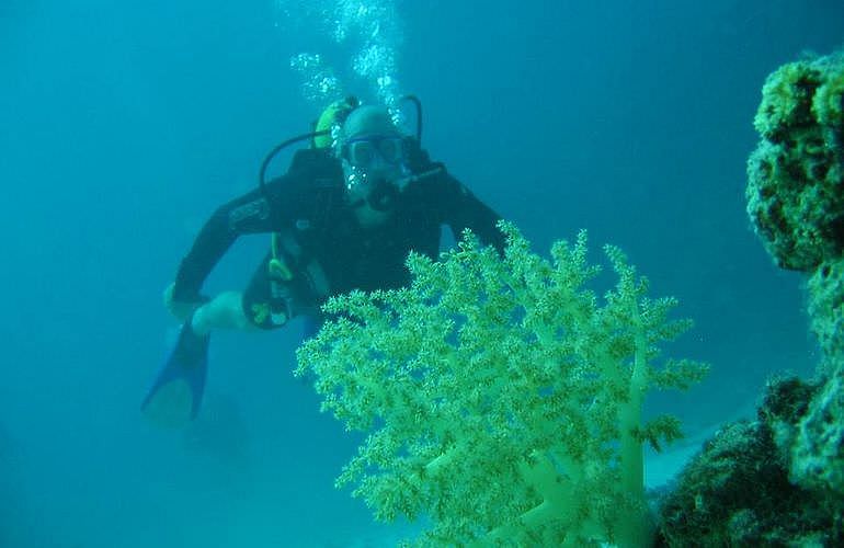 PADI Advanced Open Water Diver, Tauchkurs für Fortgeschrittene in El Gouna