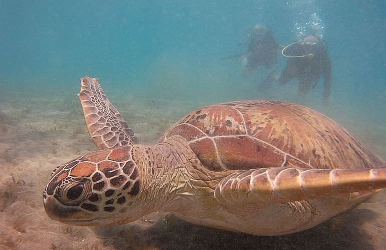 PADI Adventure Diver Kurs in El Gouna