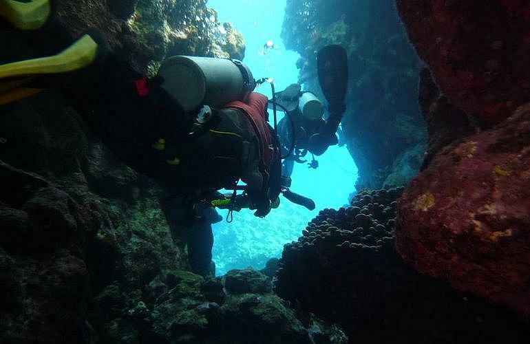 Tagesausflug Tauchen in El Gouna - Tauchen lernen