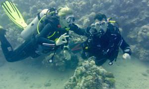 PADI Open Water Diver, der Einsteiger Tauchkurs in El Gouna