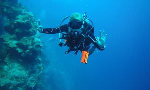 Auffrischungskurs: PADI Scuba Review Programm in El Gouna