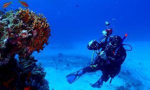 PADI Advanced Open Water Diver, Tauchkurs für Fortgeschrittene in El Gouna